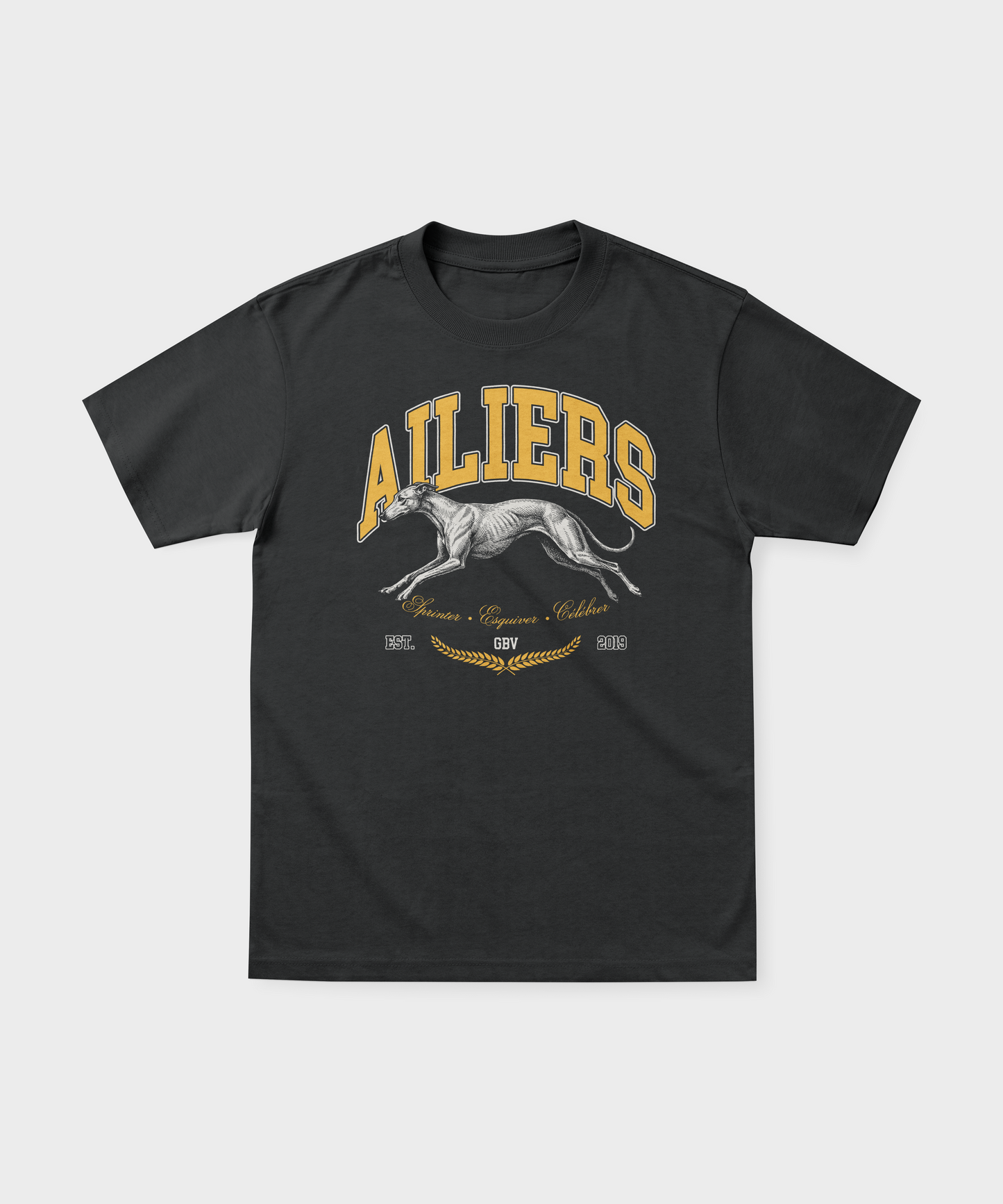 T-shirt Rugby – Ailiers