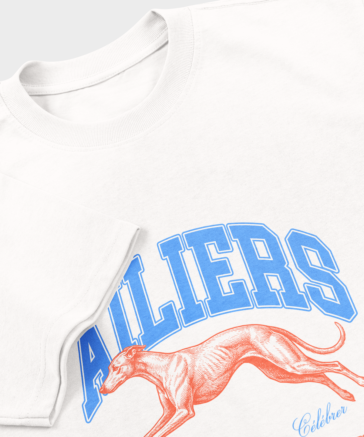 T-shirt Rugby – Ailiers